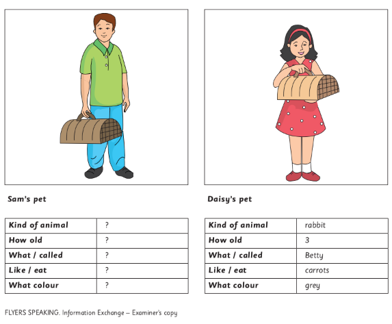 Đề thi Flyers - Speaking phần 2: Trao đổi thông tin, bản của giám khảo